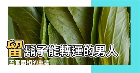 留鬍子面相|面相之鬍子